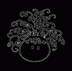 CurlyLogo.gif, 11 KB